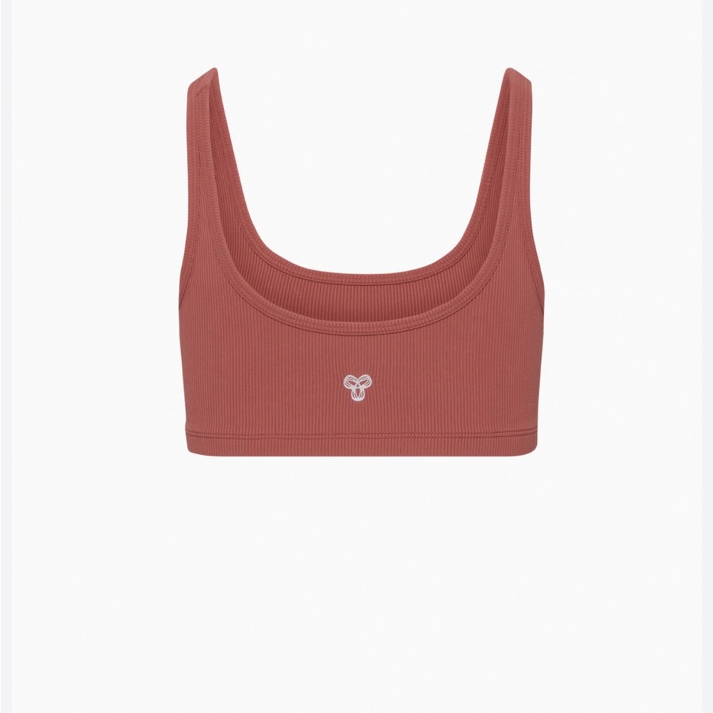 Aritzia Sports Bra